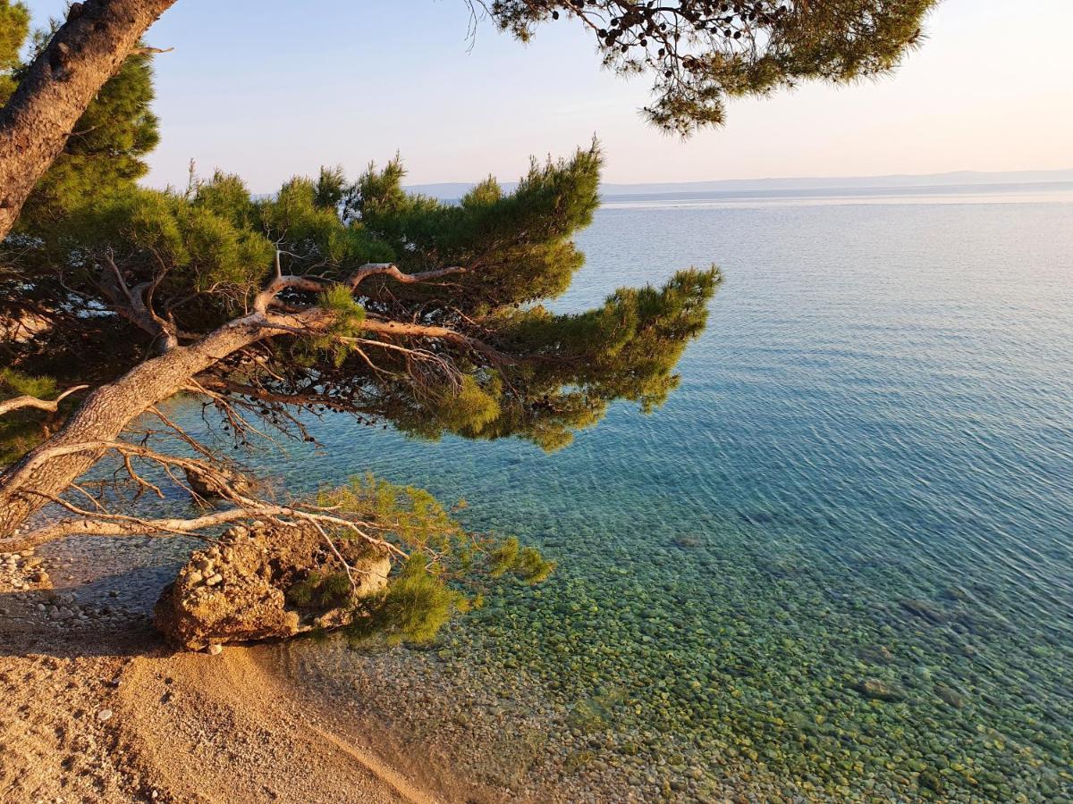 Villa La Vita Baška Voda Buitenkant foto